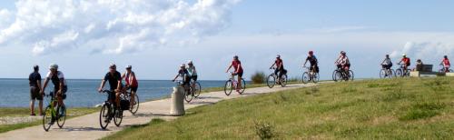 Piran3
