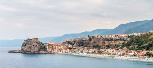 Scilla_2
