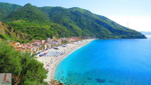 Scilla_3
