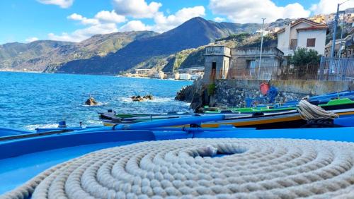 Scilla_5