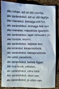ZSOTA_Kerékpártúra_EL_Camino_1
